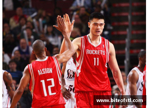 NBA篮球巨人：探寻比姚明更高的球员