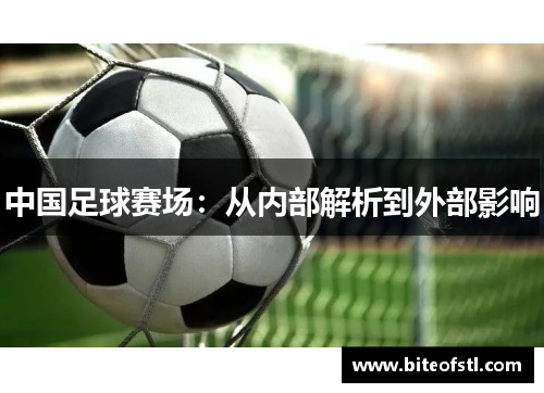 中国足球赛场：从内部解析到外部影响